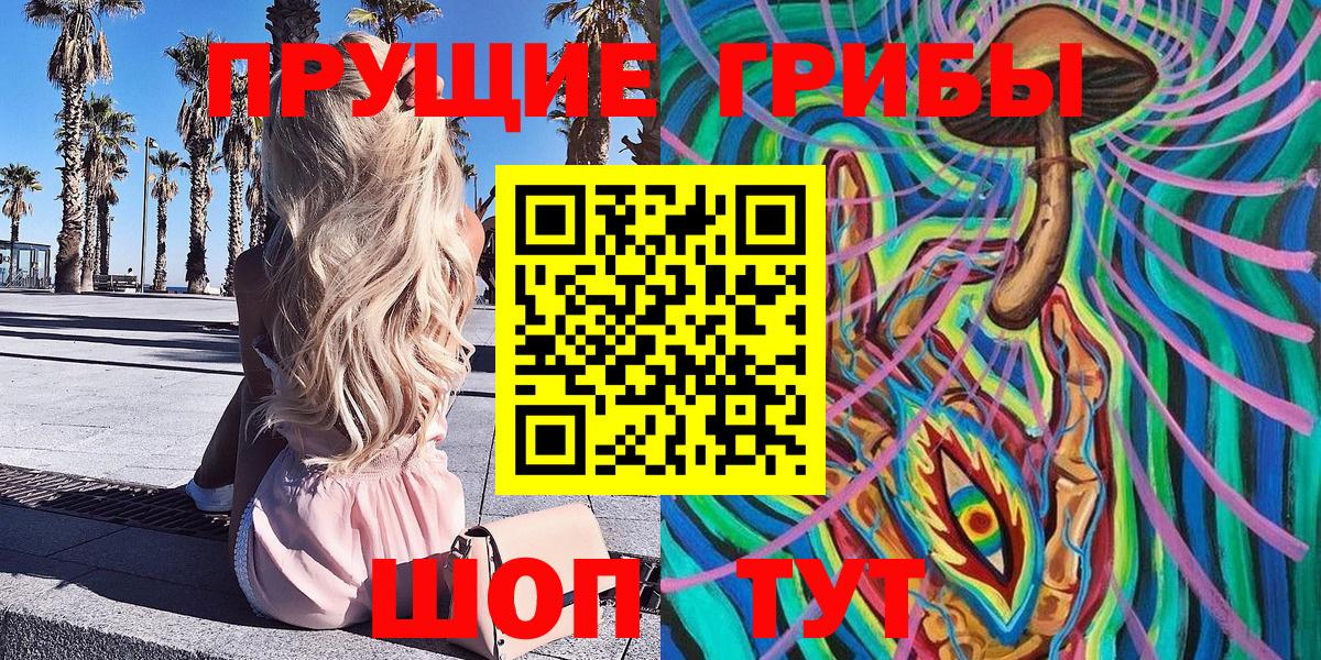 Галлюциногенные грибы Psilocybe  закладка  Котельники  Вход с VPN 