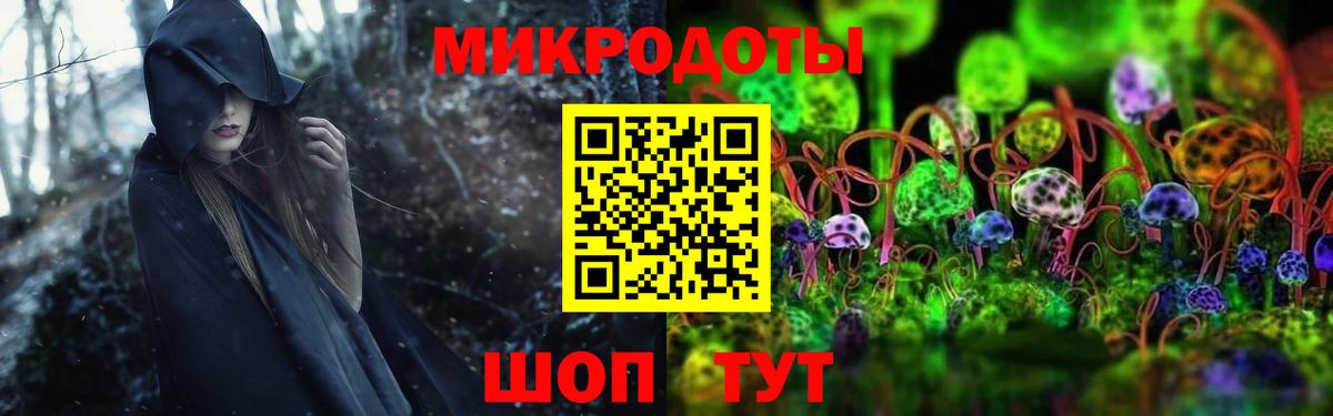 Псилоцибиновые грибы Psilocybe Котельники